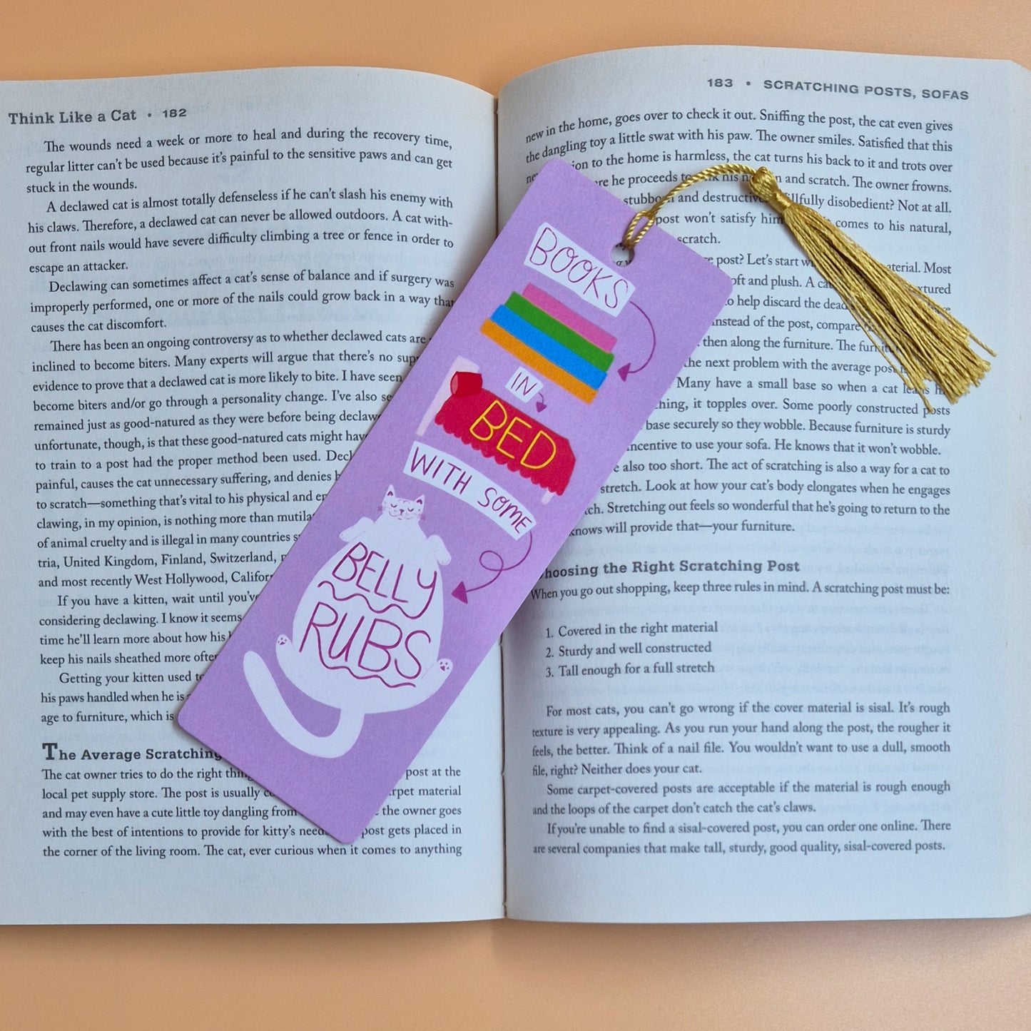 Books In Bed With Some Belly Rubs - Bookmark