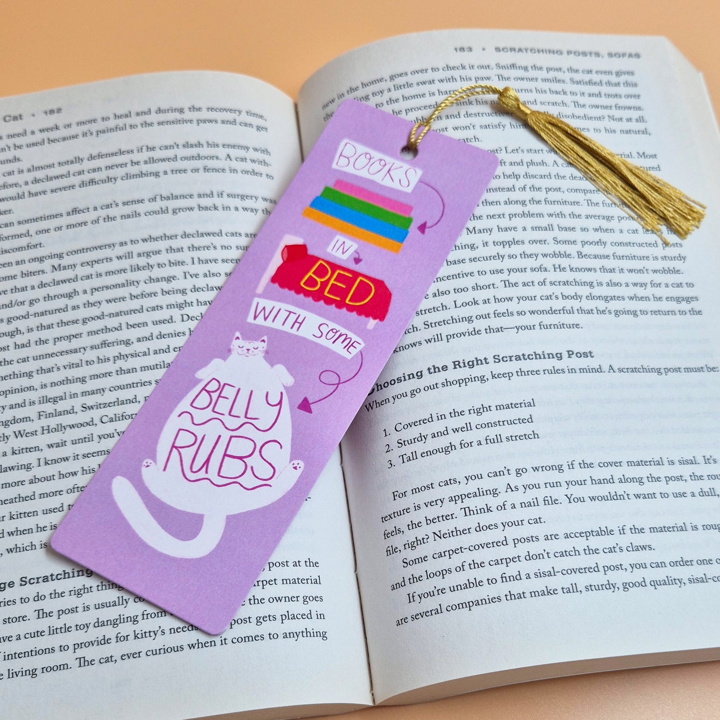 Books In Bed With Some Belly Rubs - Bookmark