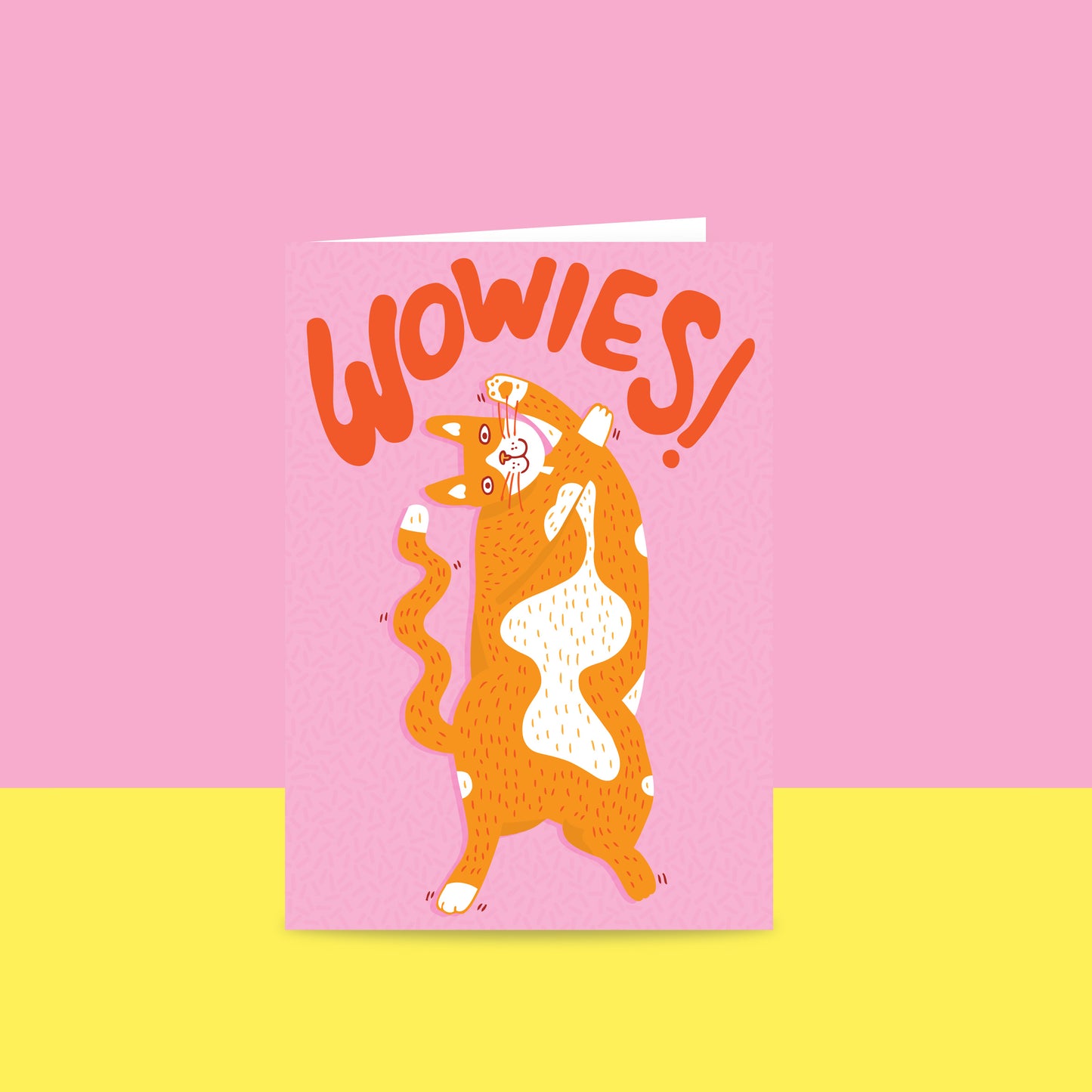 Wowies Cat - Congratulations Card
