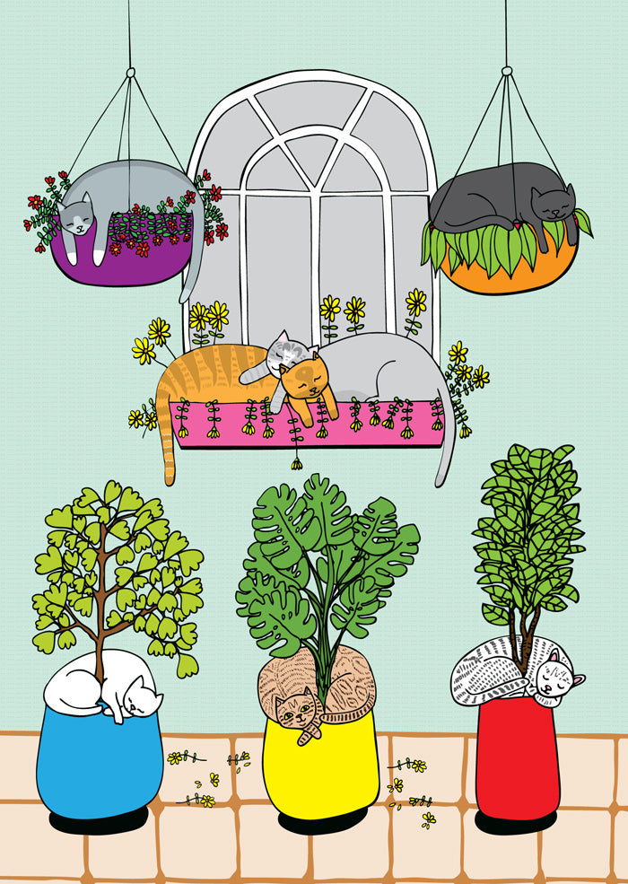 Cat Window - Greeting Card