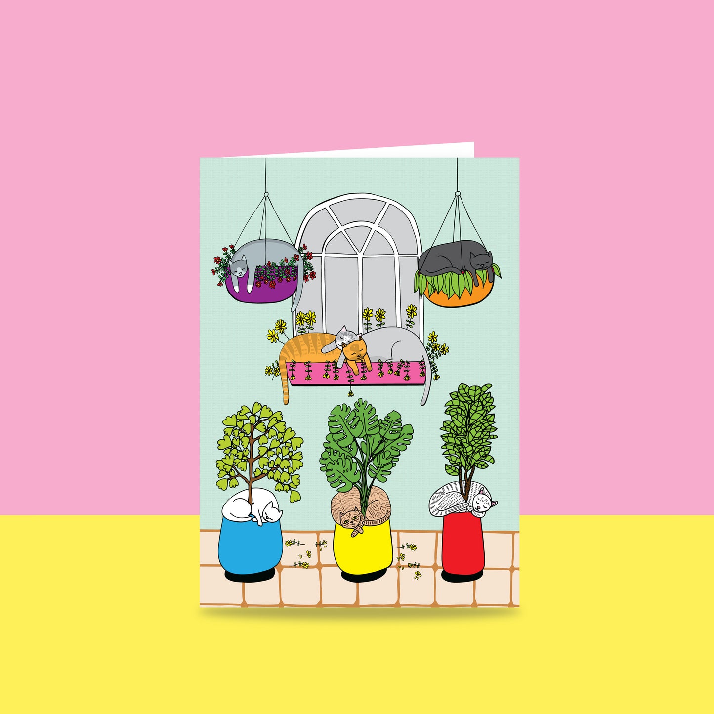 Cat Window - Greeting Card