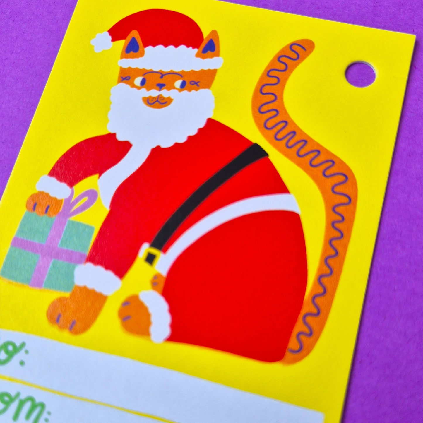 Gift Tags - Santa Cat - Pack Of 15