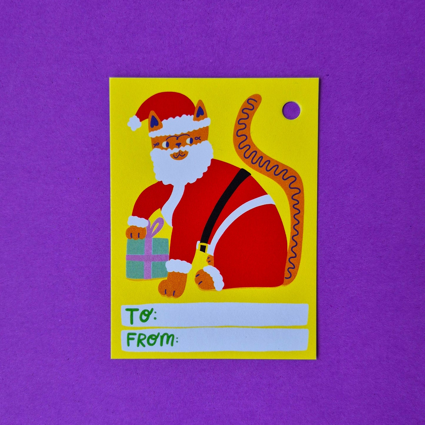 Gift Tags - Santa Cat - Pack Of 15