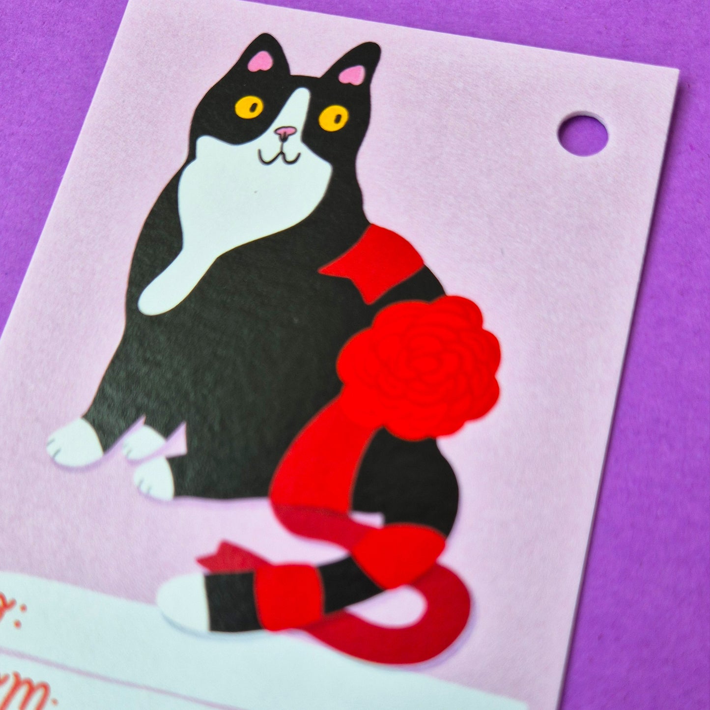 Gift Tags - Tuxedo Cat - Pack Of 15