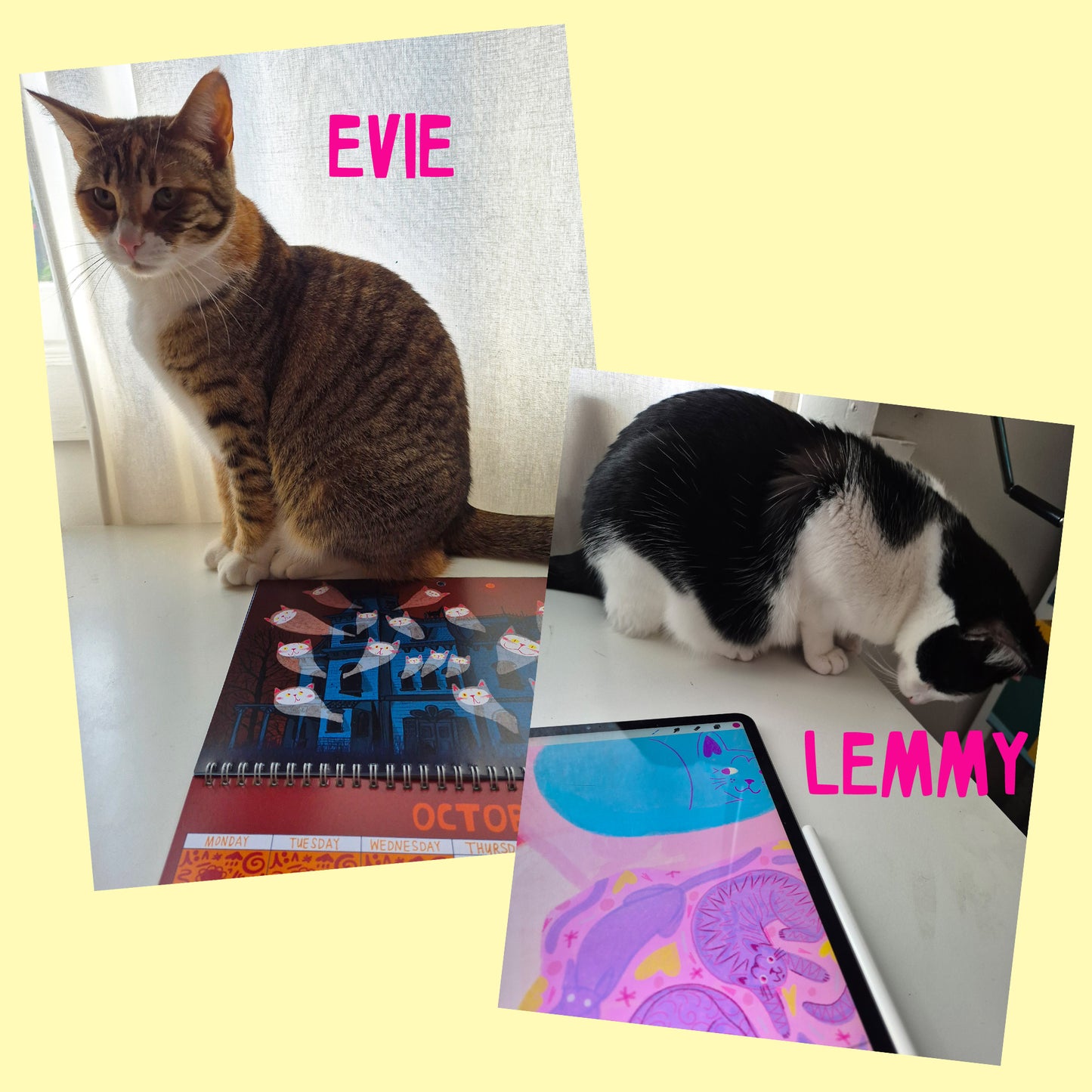 2026 Kitty Calendar