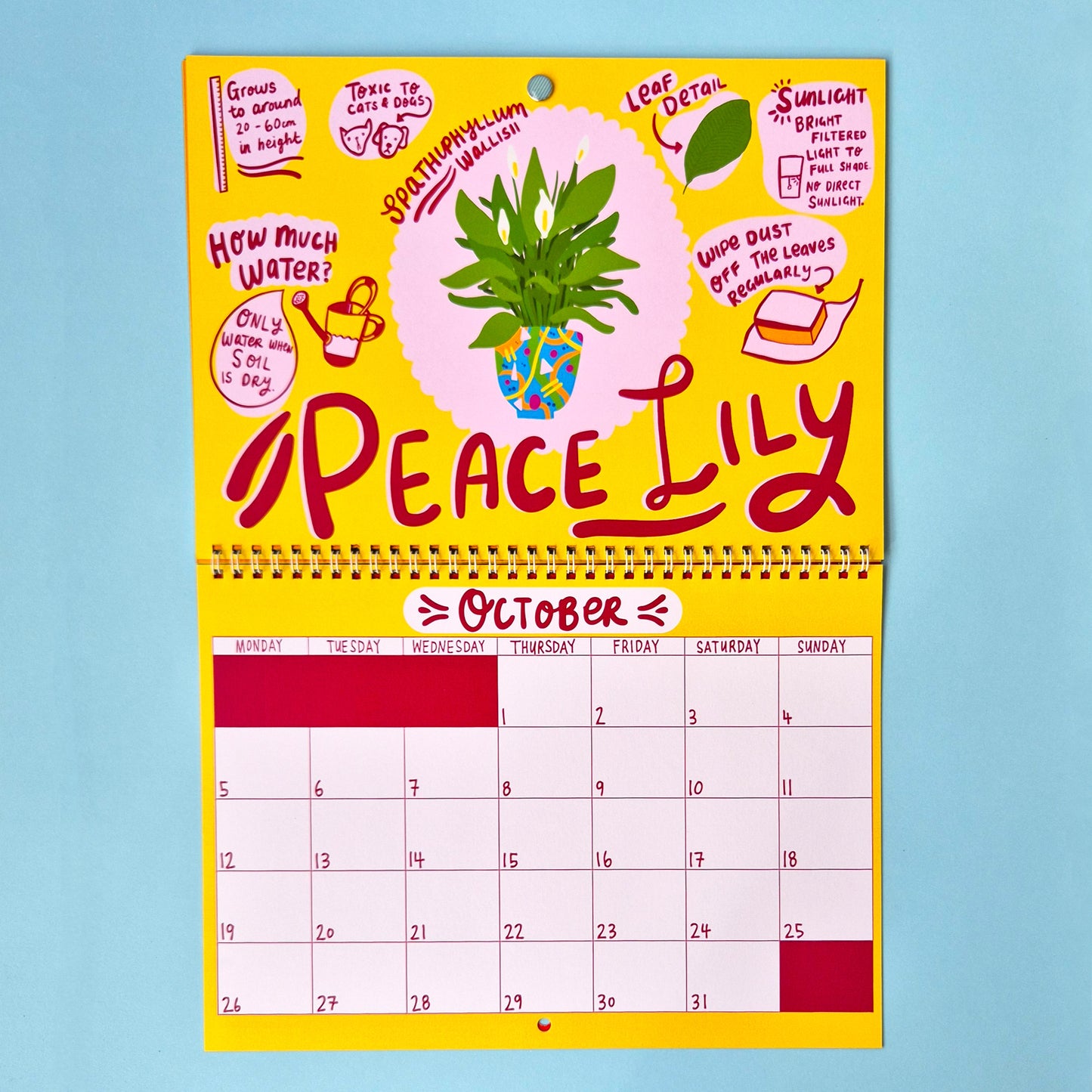 2026 House Plant Calendar