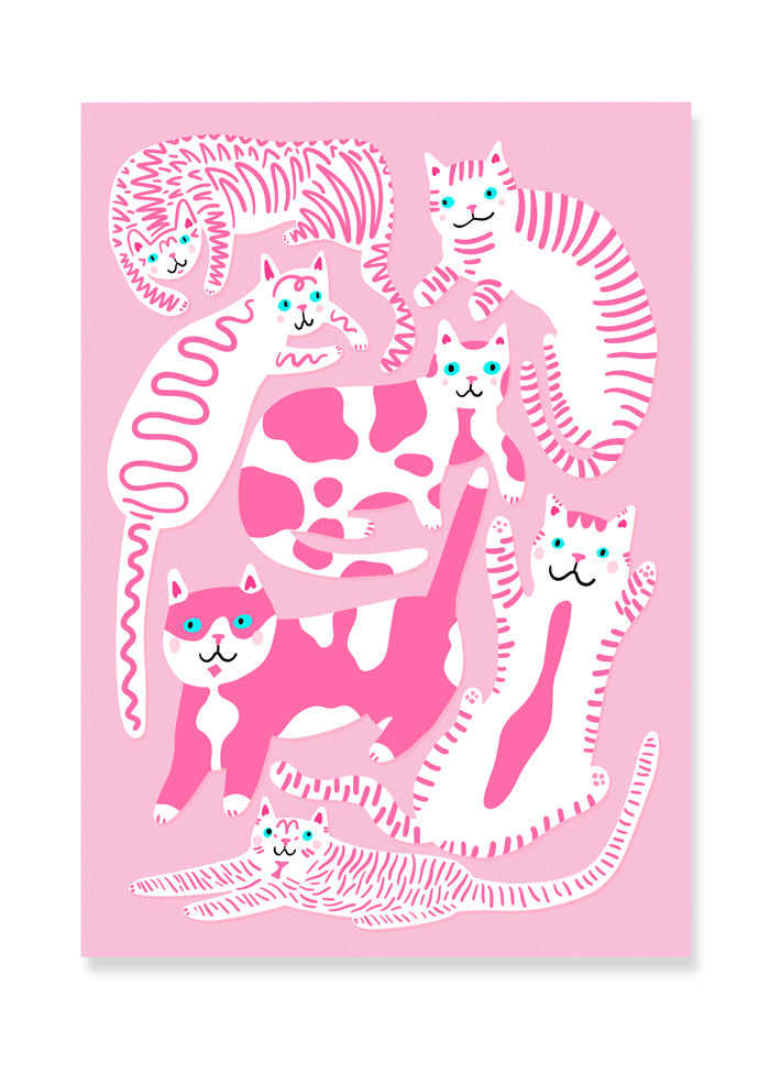 Cat Lovers Starter Pack Bundle Deal