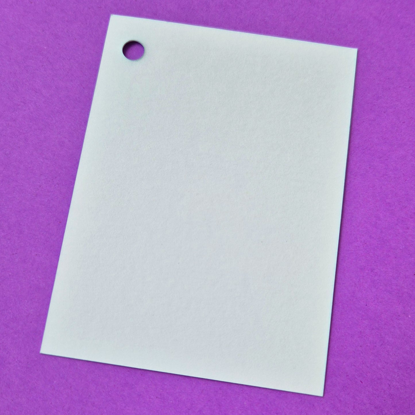 Gift Tags - Floofy White Cat