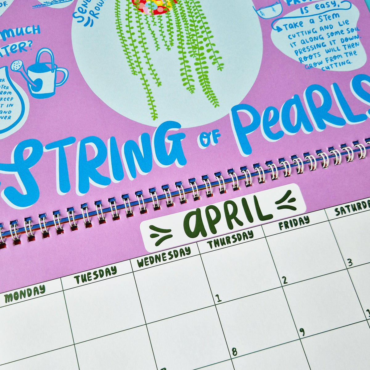 2027 House Plant Calendar