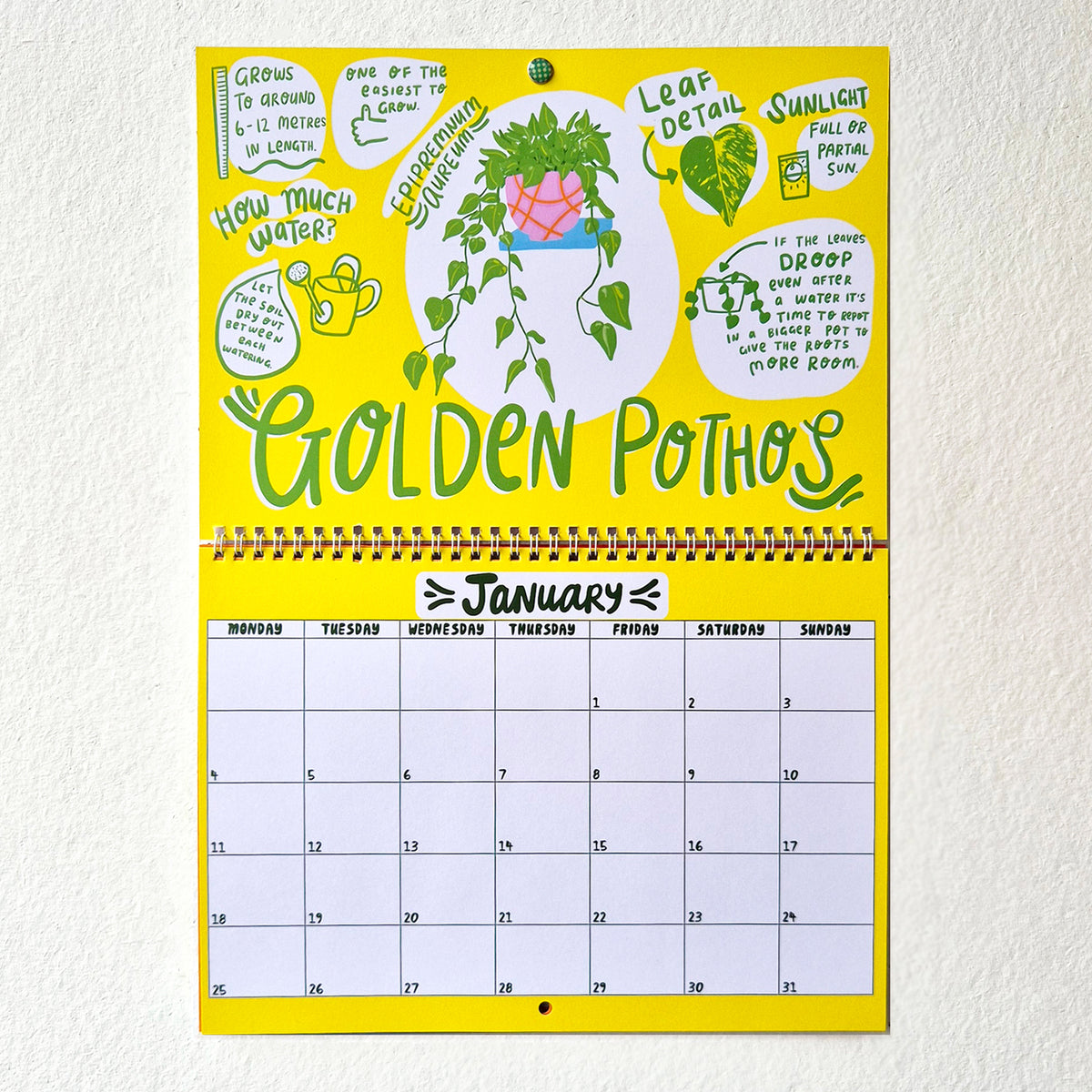 2027 House Plant Calendar