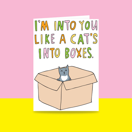 I'm Into You Like A Cats Into Boxes - Greeting Card